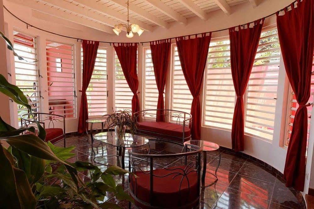 Villa Les Orchidees نوسي بي المظهر الخارجي الصورة